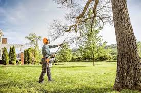 Reliable Ocean Bluff Brant Rock, MA Tree Care Services Solutions